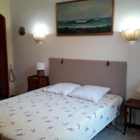 35 Ter Rue Du Docteur Marcon Apartment Бандол Екстериор снимка
